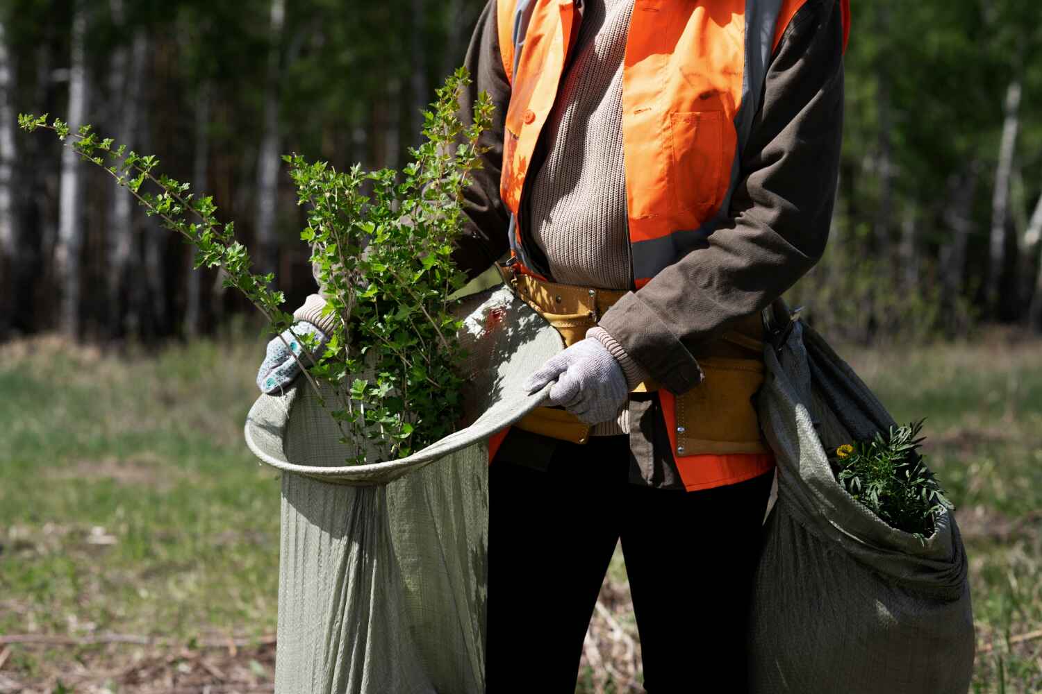 Best Tree Clearing Services  in Rosendale, WI